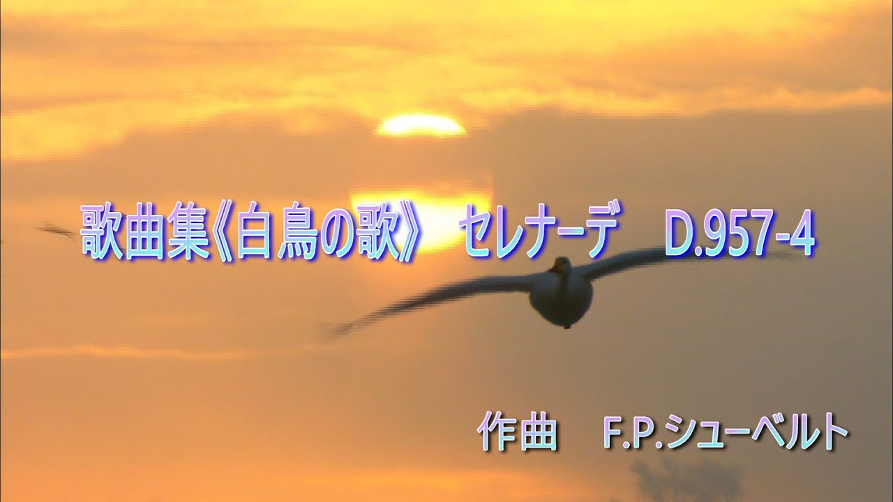 シューベルト 歌曲集《白鳥の歌》 セレナーデ D 957ｰ4 - YouTube