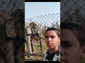 My Birthday video || My birthday on 23-1-2012 | #shorts #shortvideo #trending #viralshorts #birthday