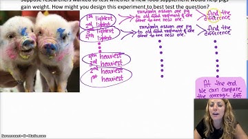 AP Statistics | 4.2.4 | Blocking and Matched Pairs Design