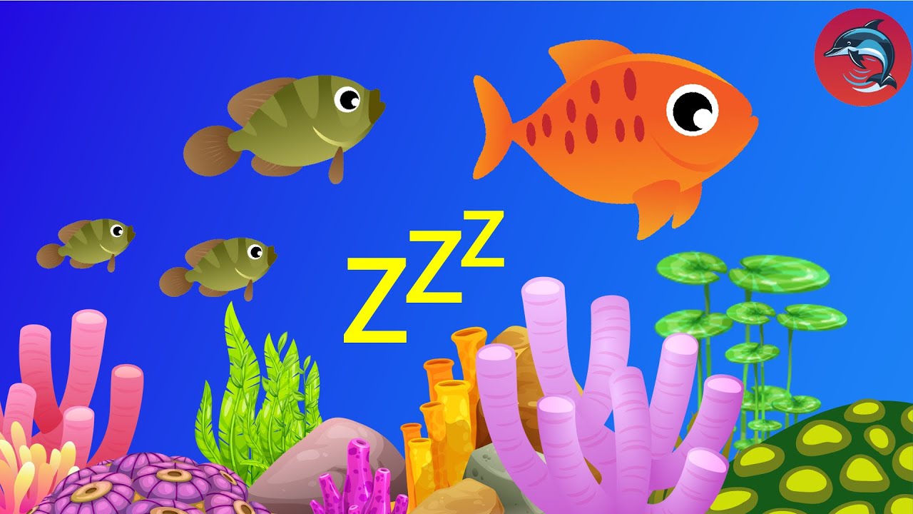 Enjoy The Best Lullaby Fish Animation Video for Babies with soft baby ...