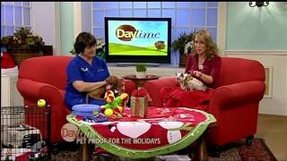 Dr. Webster shares tips to Pet Proof Your Home for the Holidays