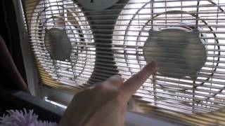 The Spring Greenhouse