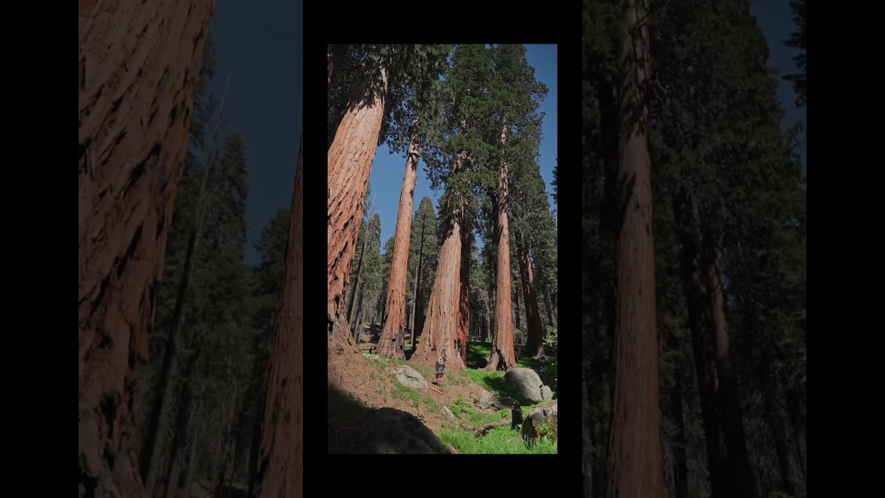 The Cold War in a Nutshell: A Bite-Sized History! 