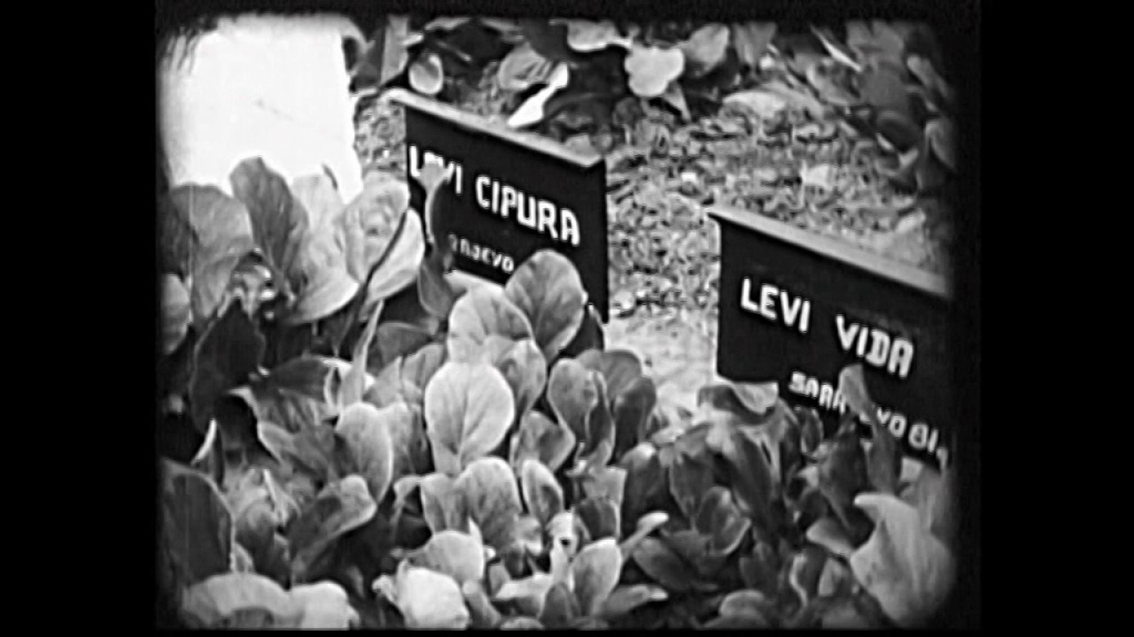 FKK Đakovo   Kronika 1972 05