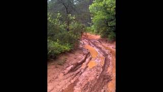 in the Mud in Debert