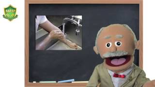 Professor Reginald von Safety: Handwashing