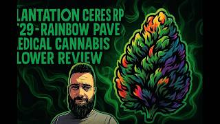 Plantations Ceres RP T29 - Rainbow Pave - UK Medical Cannabis Flower Review