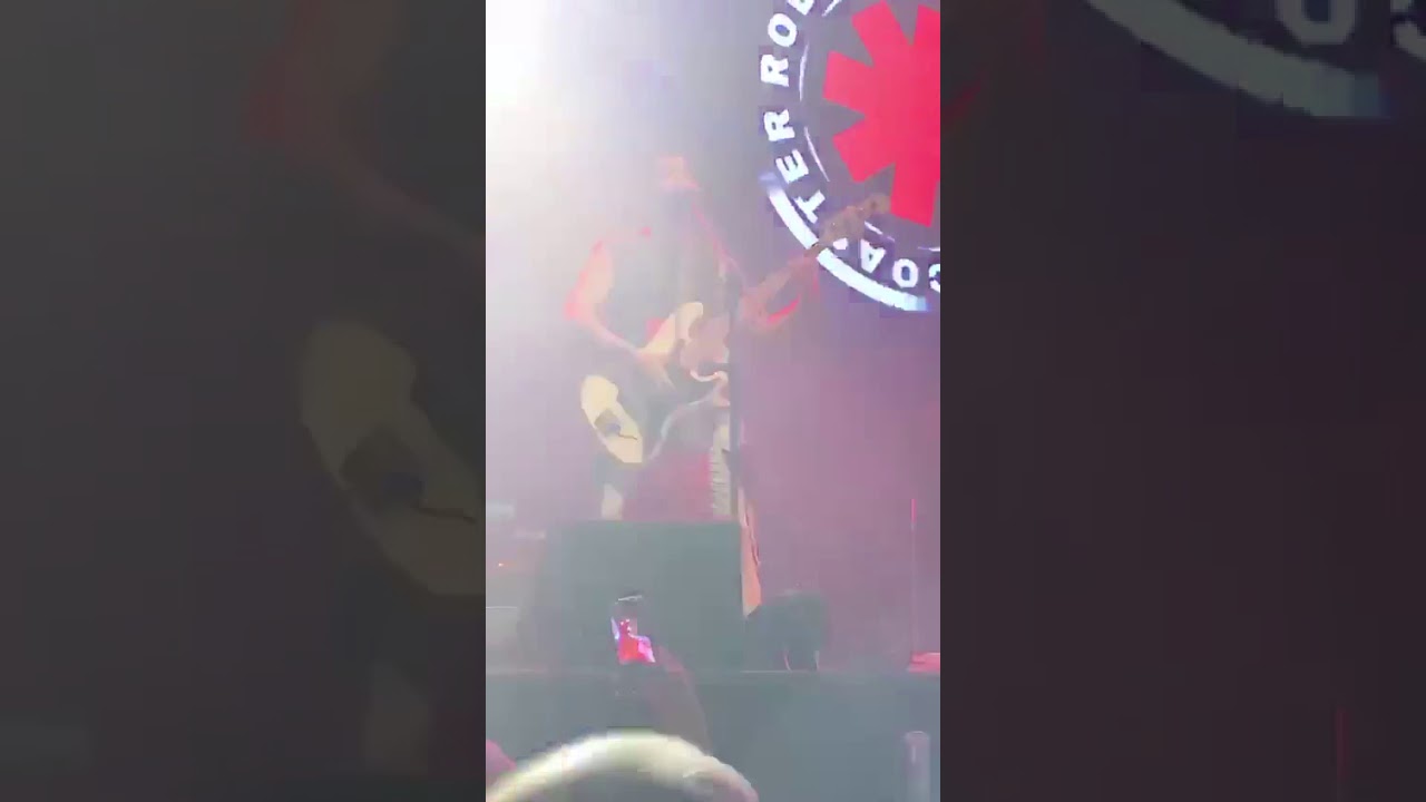 LOVE ROLLERCOASTER TRIBUTO A RED HOT CHILI PEPPERS ROLLERCOASTER