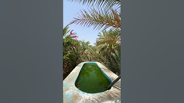 UAE HIDDEN GEM’S PART 50! #shortsvideo #shorts