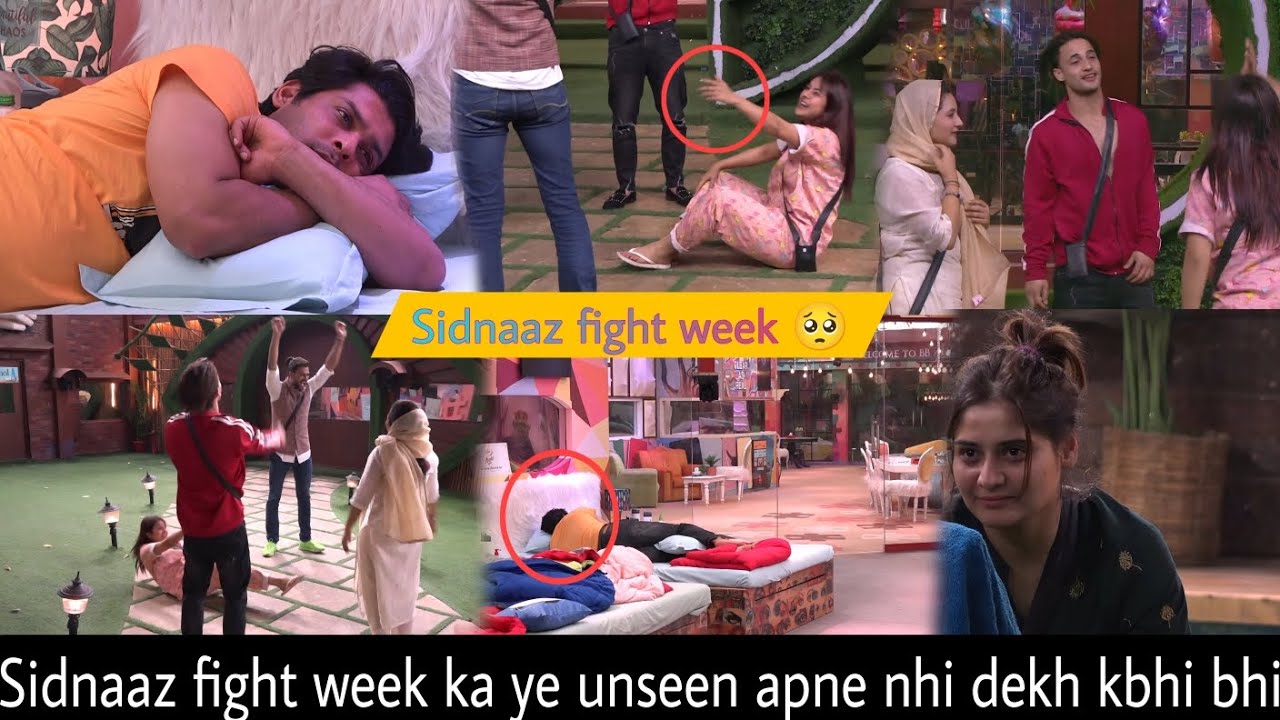 ye unseen Sidnaaz fight week 🥺