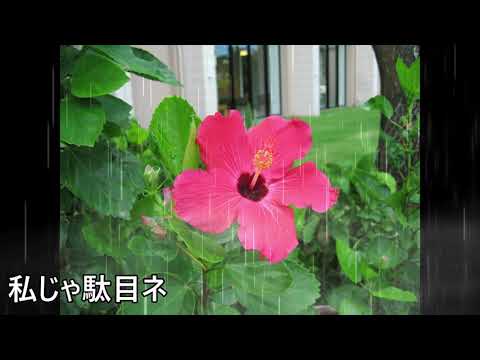 #中島みゆき＃あの娘　あの娘　中島みゆき　covered by mocha フル歌詞付きアカペラ ご視聴ありがとうございました。チャンネル登録お願いします。