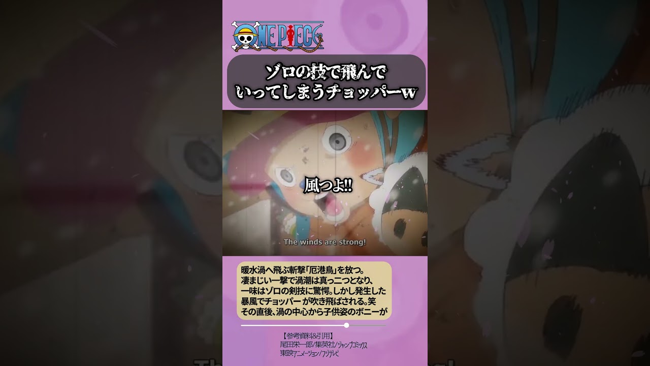 【ワンピース】精密に斬るゾロがすごい
