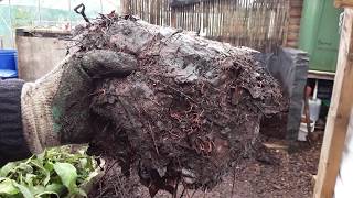 🍁How To Make Quality Leaf Mould In Two Years & Moving Them To A Smaller Bin For Another Year 🍁