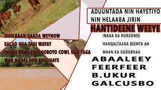 ABAALEEY: ADUUNYADA NIN HAYSTIYO NIN HELAABA JIRIN  HANTIDEENA WEEYE