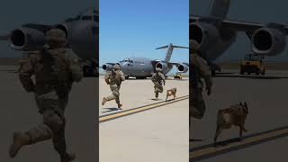 Flight-Line Sprints: a Military K9 at Full Tilt