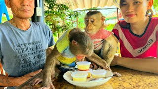 Monkey Sam & Asher loves delicious egg yogurt