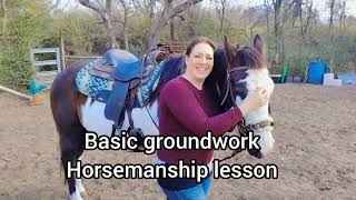 Basic Groundwork Exercises - Moving the horse's entire body