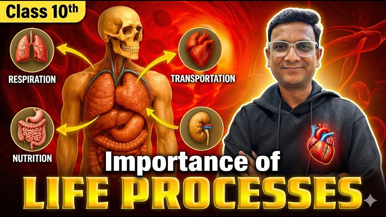 Life Processes Explained | Importance of Life Processes | Class 10 ...