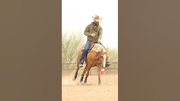 Is your horse Comfortable circling "At Speed?" Check out Reiningmasterclass.com for help with this!