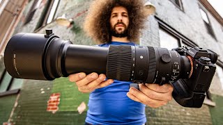 Sigma 150-600 Sport REVIEW vs Sony 200-600 | The Best Wildlife / Sports Lens for Under $2,000?