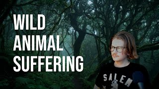 We probably shouldnt do anything (drastic) about wild animal suffering