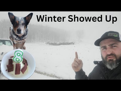 Winter Snow Storm Ranching- Yenko Turns 8 #Hisea