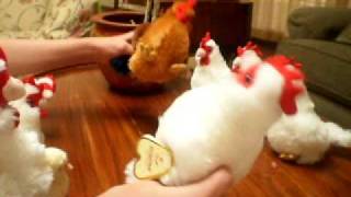 Racist Chickens episode 1 season 1