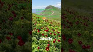 #hujor ka farman 🥀 dastar khan 🥯se roti lekar khan 💖