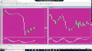 Celebrity 100% non Repaint indicator For free | Quotex paid inidcator for free | Make daily profit on binary Profile