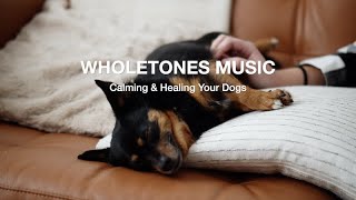 Wholetones Healing Music for Dogs | Relaxing and Anxiety-Reducing Tunes Wholetones Healing Music for Dogs | Relaxing and Anxiety-Reducing Tunes