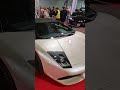 MIAMI VIBES #lamborghini #lambo #murcielago #roadster #v12 #luxury #supercars #milan #top #vibes