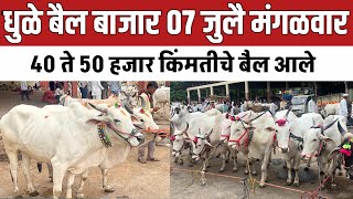 40 ते 50 हजार किंमतीचे शेती कामाचे बैल आले | Dhule bail bazar #बैलबाजार 