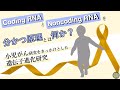 末永雄介博士【第11回】「Coding RNAとNoncoding RNAを分かつ原理とは何か？―小児がん研究をきっかけとした遺伝子進化研究」【デジタル進化生物セミナー】