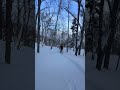 北海道札幌市バックカントリースキー！パウダースキー！　#skiing #パウダースノー #バックカントリー
