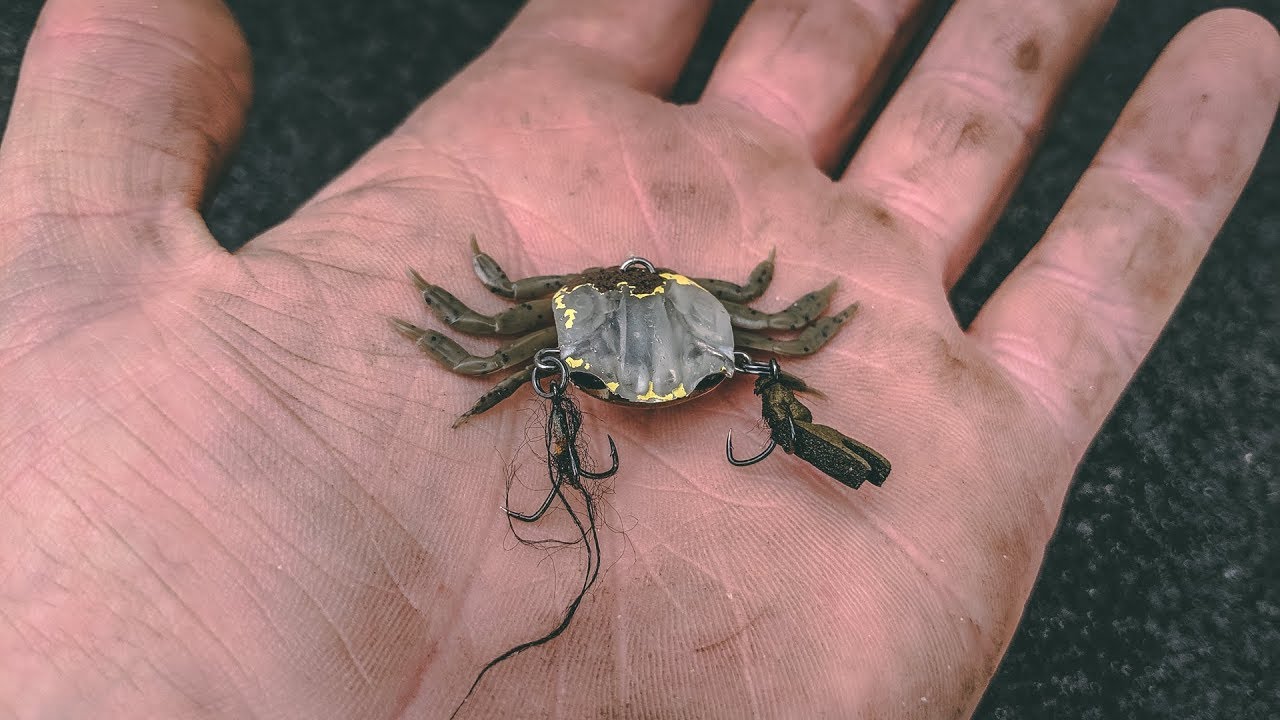 Fishing a Crab lure 