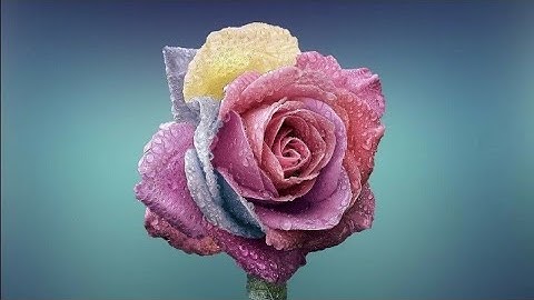 #سورة_الأعلى بصوت القارئ محمد صلاح نافع #القرآن #تلاوة #قرآن #القرآن_الكريم #quran #قران