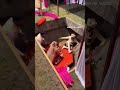 #shorts #meme #funny #viral #trending #memes #comedy #funnymemes