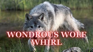 🐺 WONDROUS WOLF WHIRL | WOLF WORLD ENGLISH SONG | THẾ GIỚI CHÓ SÓI | BÀI HÁT CHO THIẾU NHI 🎶