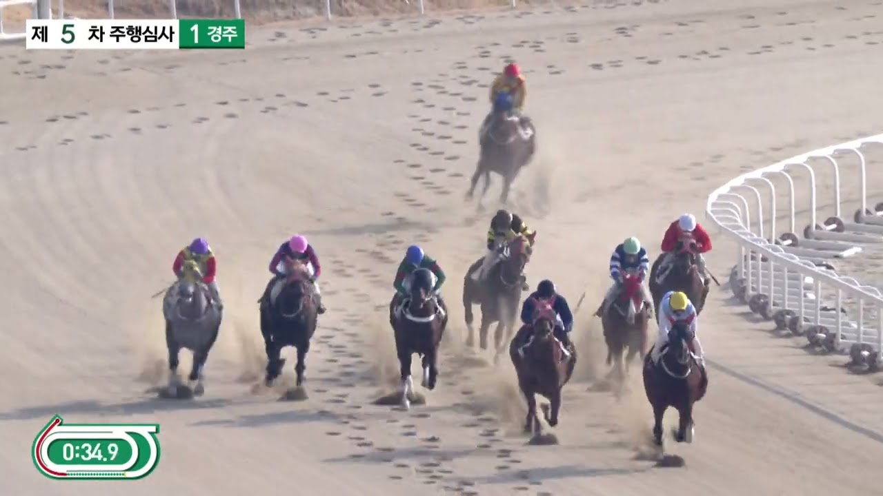 (주행심사/부산) 2026.1.29 1경주
