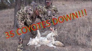 At Death's Door! | 35 COYOTES DOWN!!! by OutDoors 406 6,431 views 3 years ago 13 minutes, 4 seconds