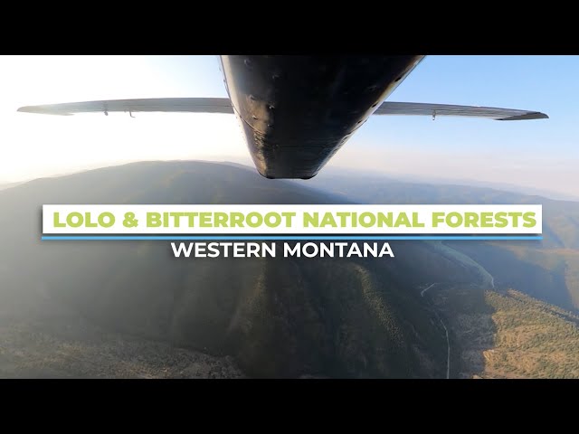 Lolo & Bitterroot National Forest Service Plan Revisions