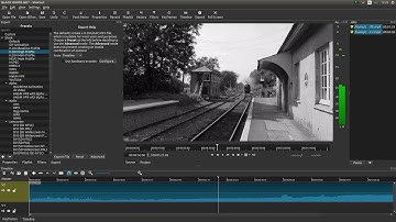 Shotcut: Convert A Color Video Clip To Black And White. A Video Editing Tutorial For Beginners.
