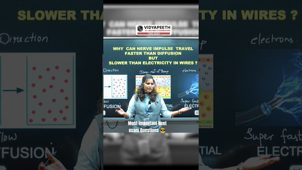 most important Neet Exam Questions 2026 | PYQ | vidyapeeth| Alakh pandey