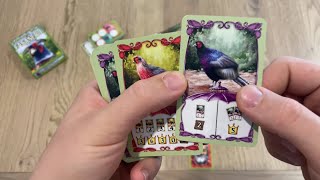 How to play Fancy Feathers, by Friedemann Friese. Gameplay and a short Review