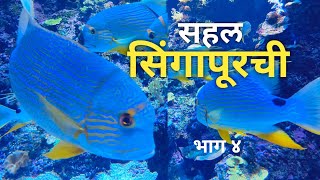 Singapore Oceanarium Full Tour | Amazing Marine Life & Shark Tunnel | Singapore |