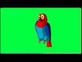Who is smarter a parrot or a crow