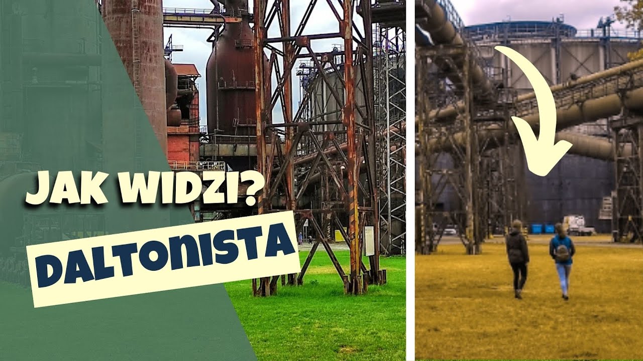 Jak DALTONIŚCI widzą świat?