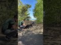 🐾 Tag 26 der SpringDogDays – Teamwork statt Hasenjagd! 🎯 #hundetraining #hundebeschäftigung