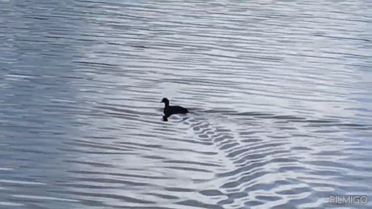 Lo splendido Parco di Colfiorito di Foligno