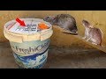 Mouse Trap Using Plastic Tank & Box Paper - Catch Three​​ Rat in a Night By Water Trap